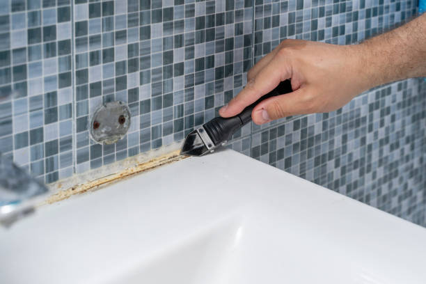 Best Professional Mold Removal  in Mundys Corner, PA